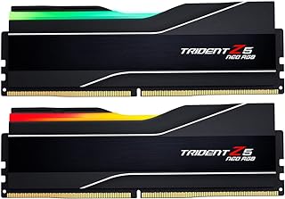 Fury Renegade DDR5